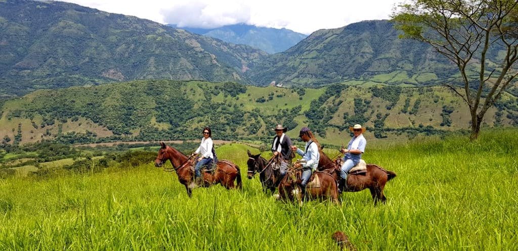 cattle ranch horse ride Medellin