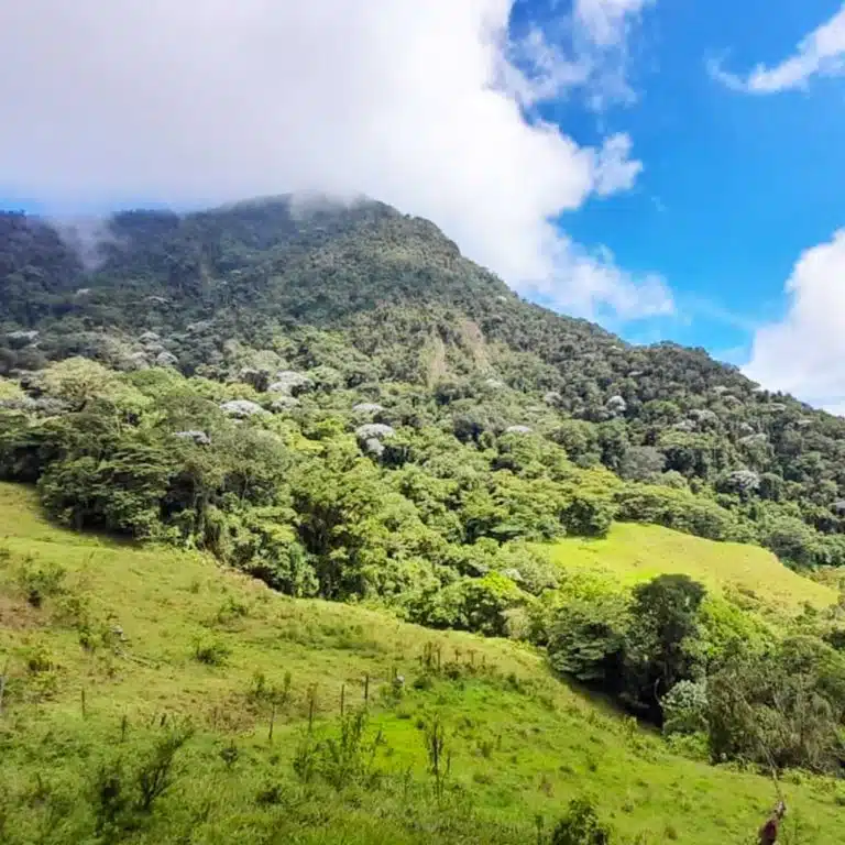 Cerro-Bravo-5
