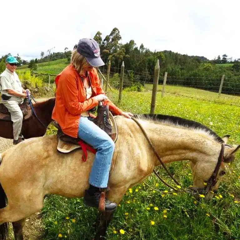 Medellín-Horseback-Riding-Tour-1