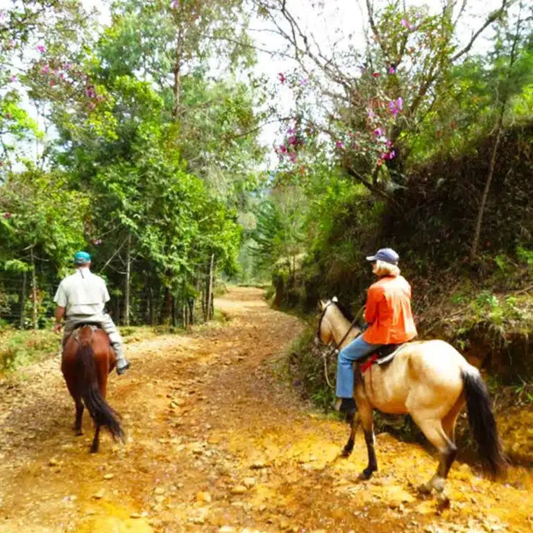 Medellín-Horseback-Riding-Tour-17