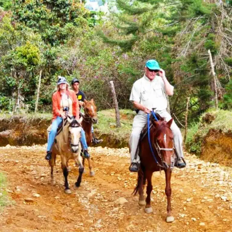 Medellín-Horseback-Riding-Tour-2