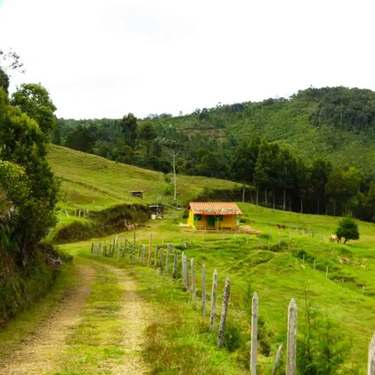 Medellín-Horseback-Riding-Tour-20