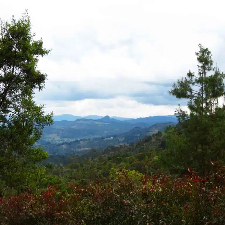Medellín-Horseback-Riding-Tour-21