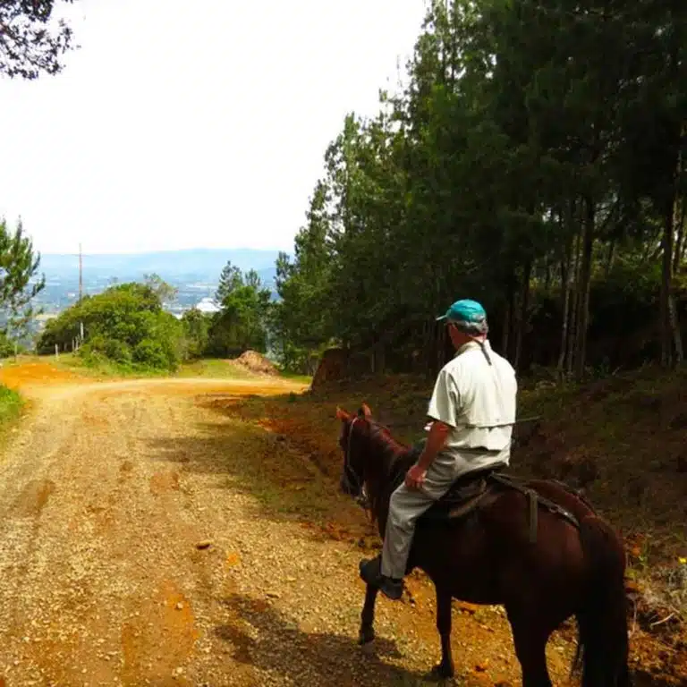 Medellín-Horseback-Riding-Tour-25