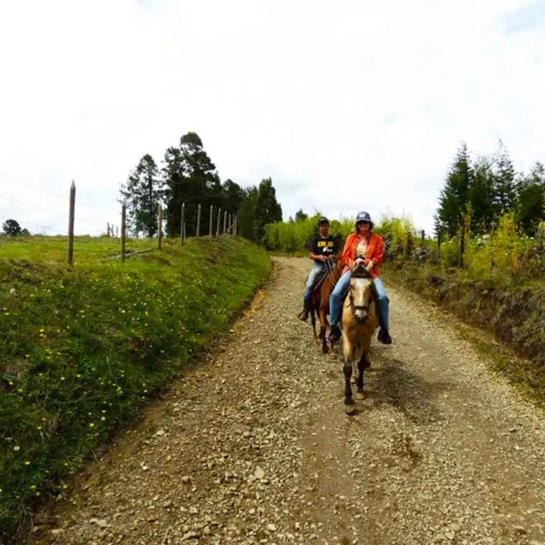 Medellín-Horseback-Riding-Tour-28