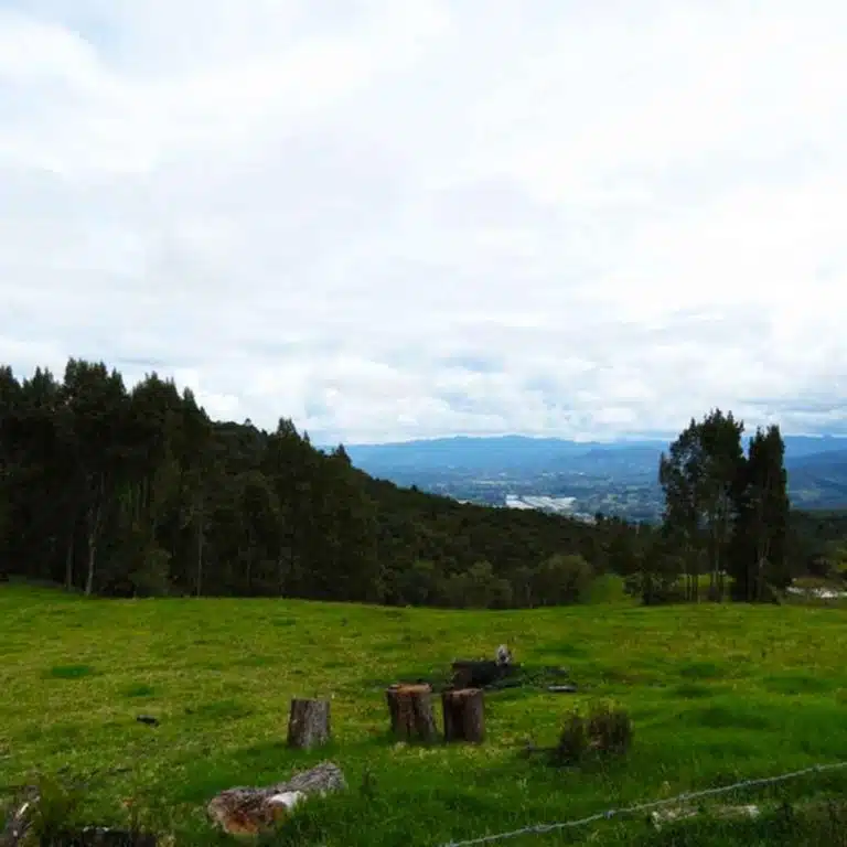Medellín-Horseback-Riding-Tour-31