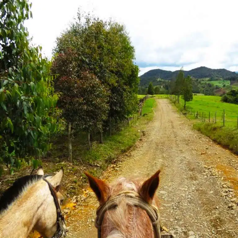 Medellín-Horseback-Riding-Tour-32