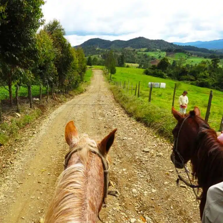 Medellín-Horseback-Riding-Tour-33