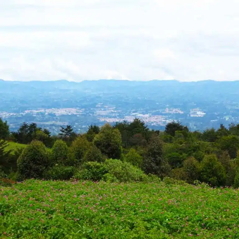 Medellín-Horseback-Riding-Tour-34