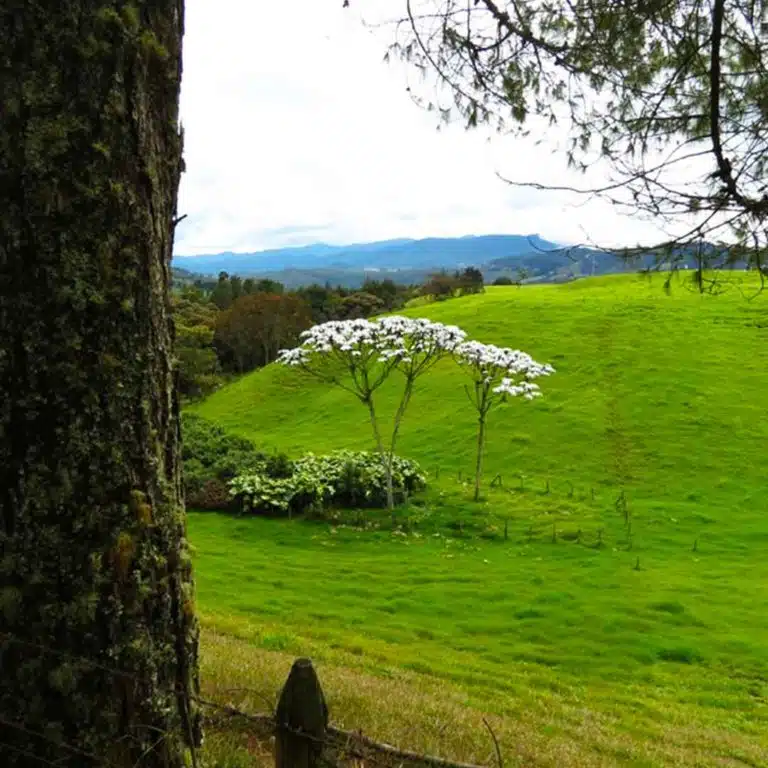 Medellín-Horseback-Riding-Tour-37
