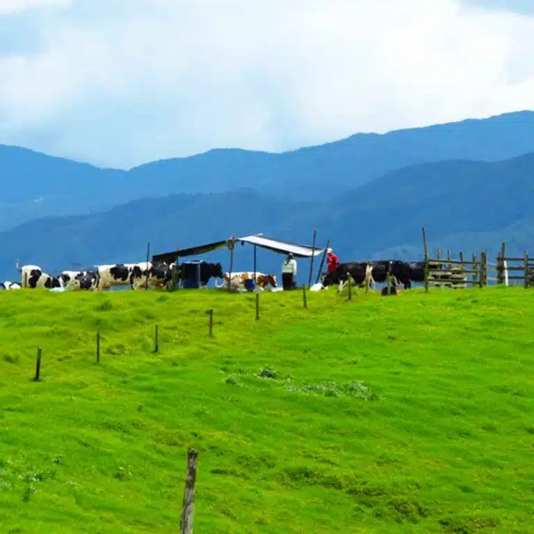 Medellín-Horseback-Riding-Tour-38