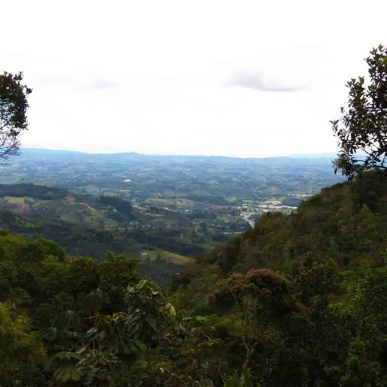 Medellín-Horseback-Riding-Tour-41