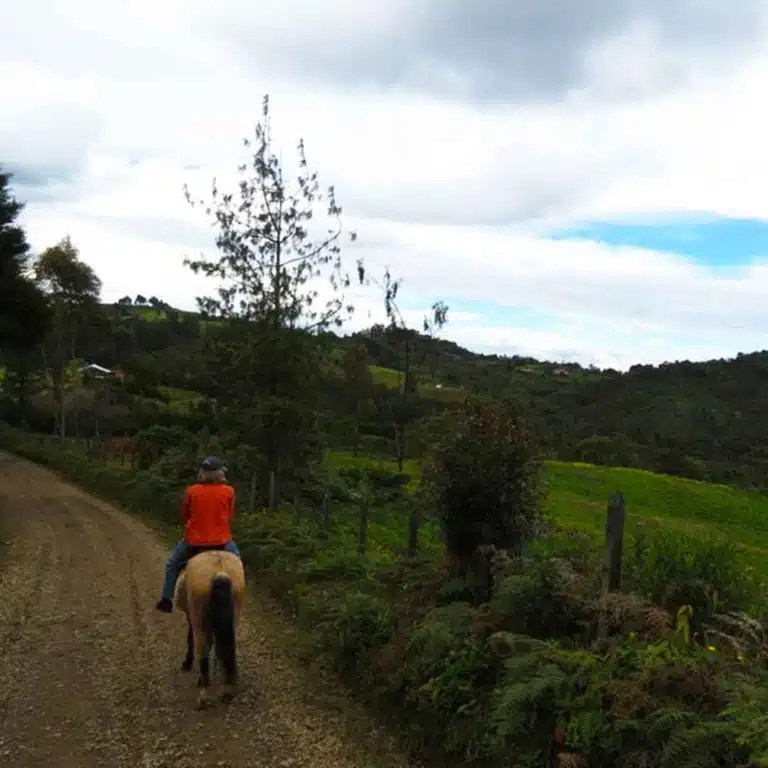 Medellín-Horseback-Riding-Tour-44