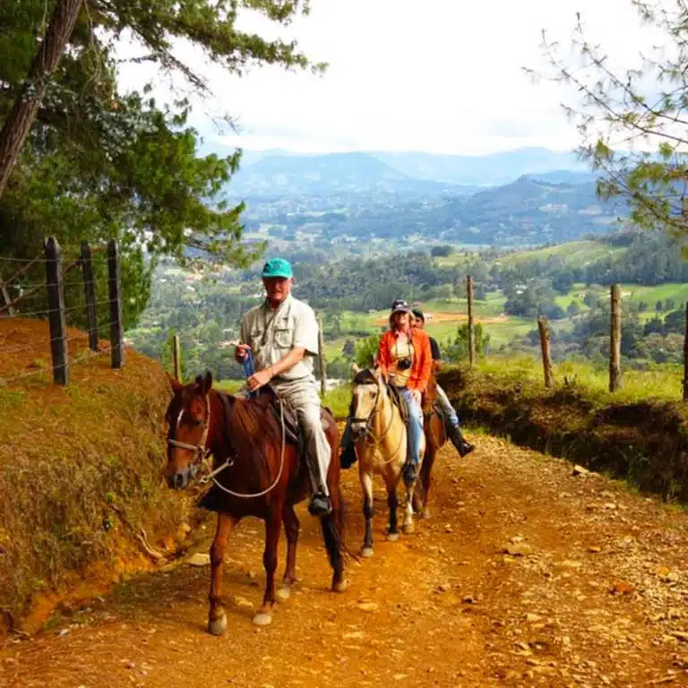 Medellín-Horseback-Riding-Tour-45