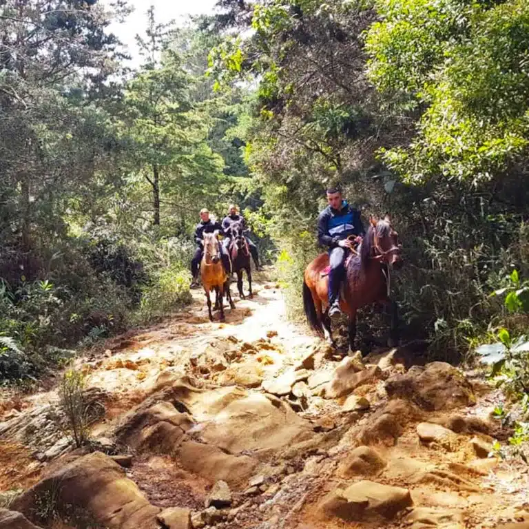 Medellín-Horseback-Riding-Tour-8