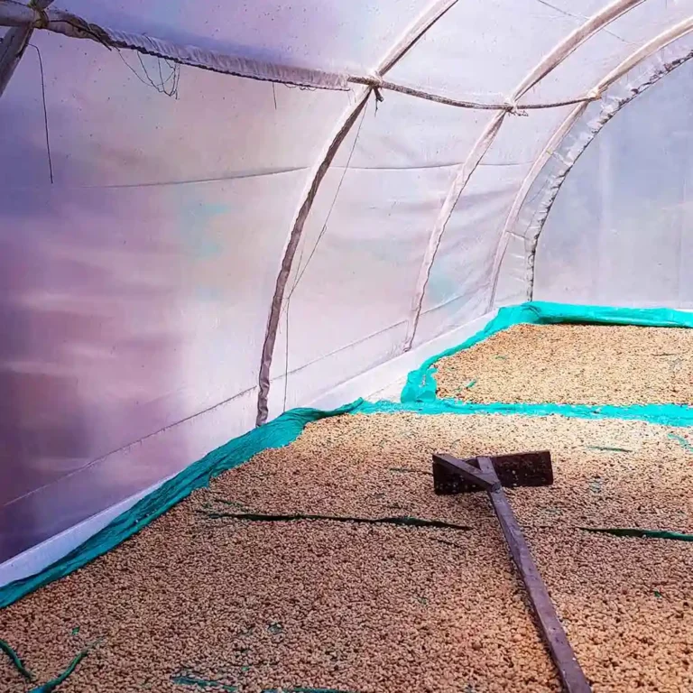 Express-Coffee-Tour-Medellín-12