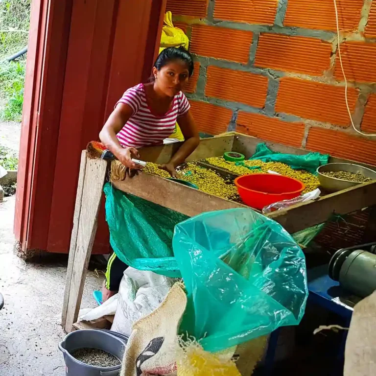 Express-Coffee-Tour-Medellín-14