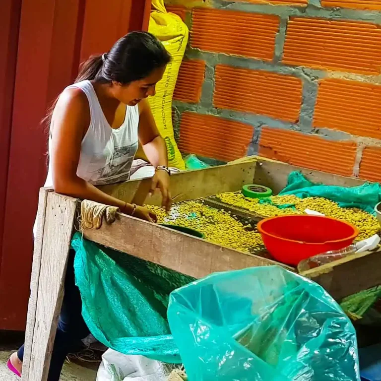 Express-Coffee-Tour-Medellín-15