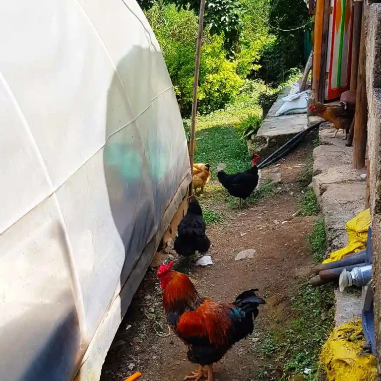 Express-Coffee-Tour-Medellín-16