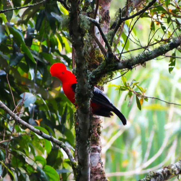 Jardín-Coffee-Región-Tour-out-of-Medellín-12