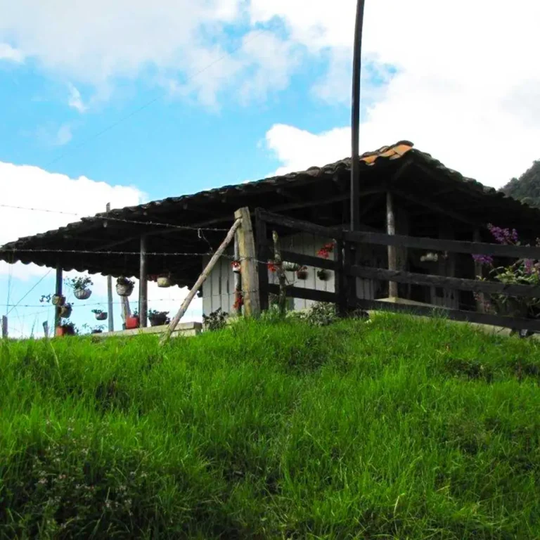 Jardín-Coffee-Región-Tour-out-of-Medellín-14