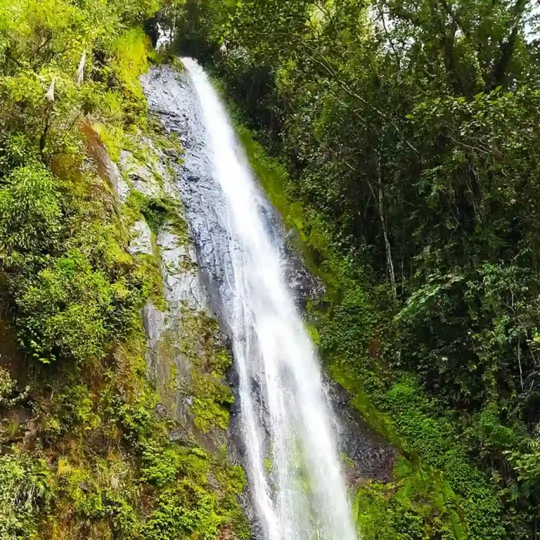 Jardín-Coffee-Región-Tour-out-of-Medellín-15