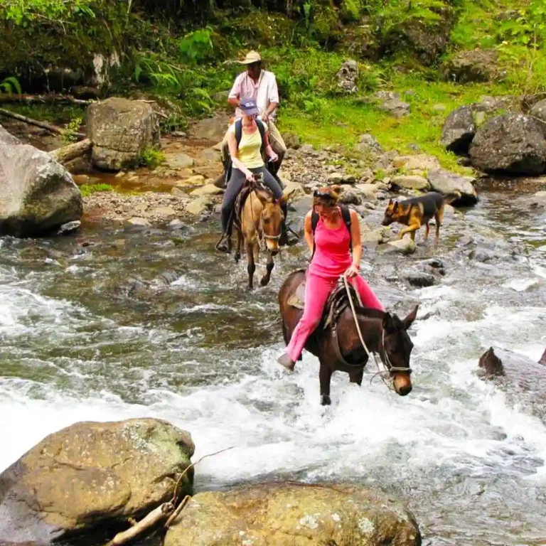 Jardín-Coffee-Región-Tour-out-of-Medellín-17