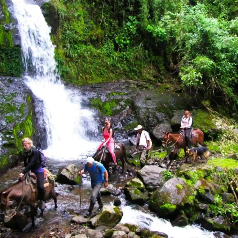 Jardín-Coffee-Región-Tour-out-of-Medellín-18