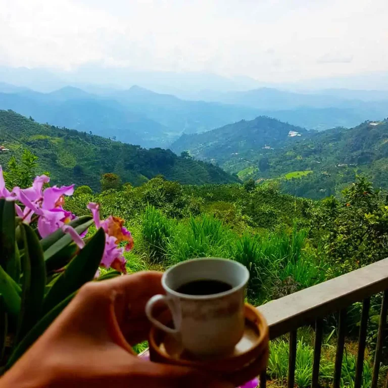 Jardín-Coffee-Región-Tour-out-of-Medellín-19